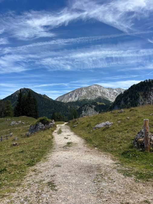 Wir suchen Heuballen - Bild 1