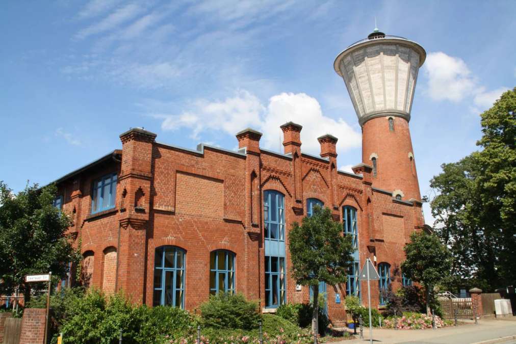 Leitung Disposition & Agrarhandel, Perspektive stellv. Geschäftsleitung, Lüchow - Bild 1
