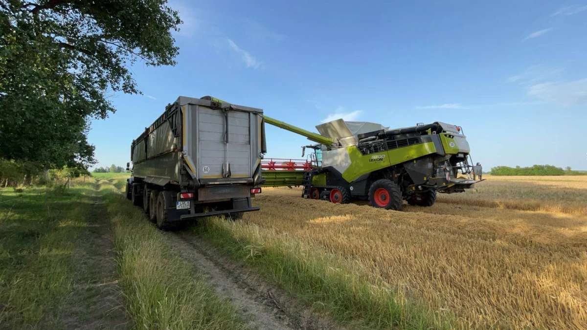 Pflanzenbauleiter- (Assistent) / Volontärverwalter für 2.500 Hektar, Lenzen - Bild 2