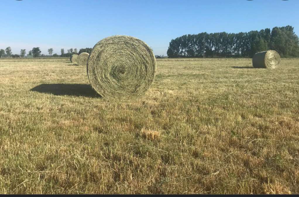 Heu Rundballen&HD Ballen