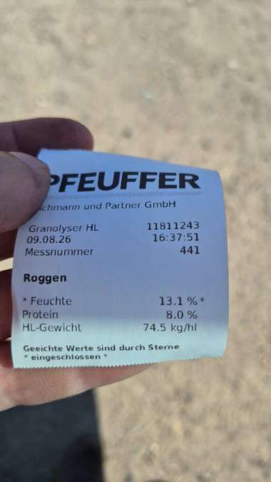 Roggen zu verkaufen - Bild 1
