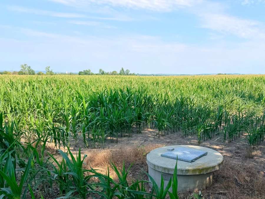 Acker 44,8ha in 3470 Neustift im Felde mit Brunnen zu verkaufen - Bild 2