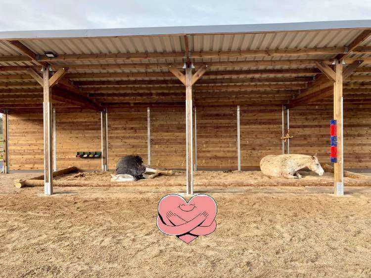 Pferdeunterstand kaufen | Robuste Weidehütten & Unterstände für Pferde - Bild 12