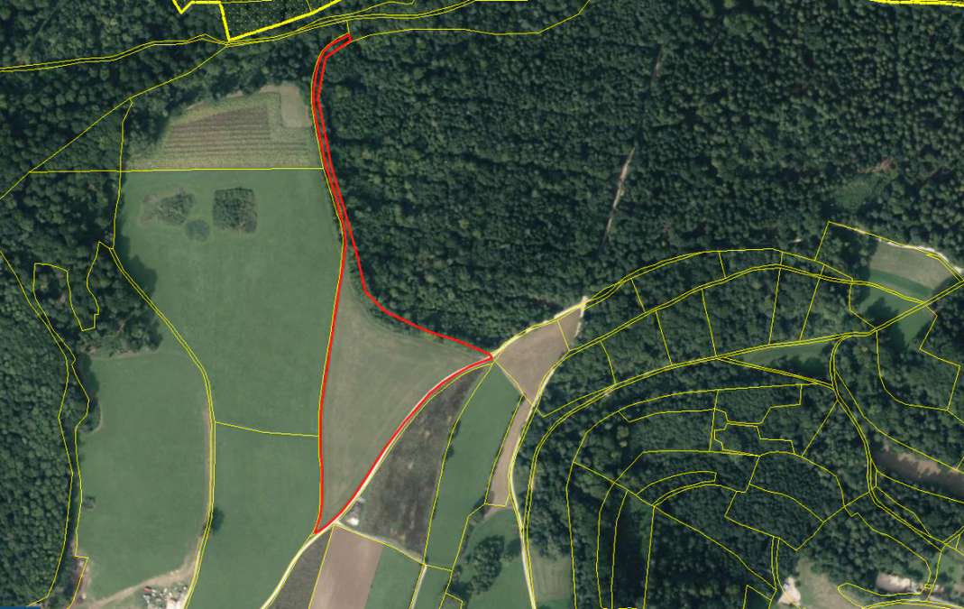 Landwirtschaftliche Fläche zu verkaufen / Wiese mit Wald - Bild 1