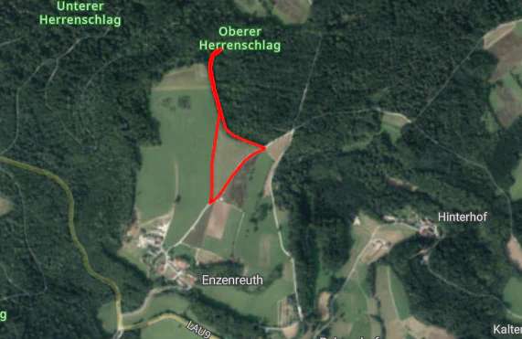 Landwirtschaftliche Fläche zu verkaufen / Wiese mit Wald - Bild 2