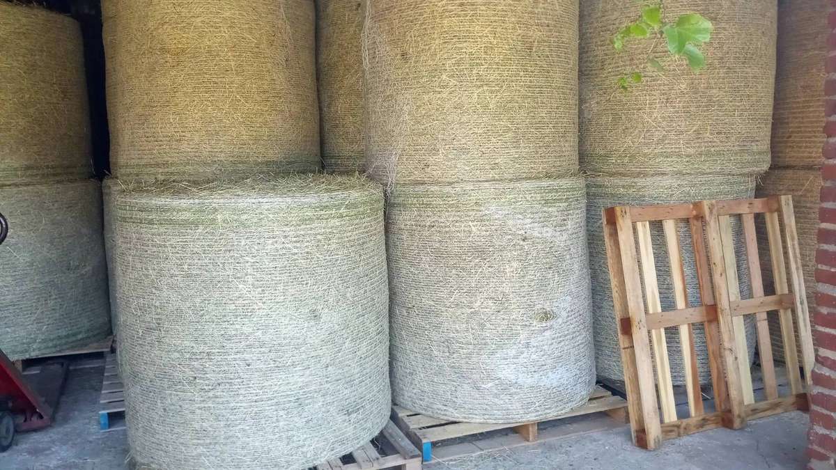 Heu Pferdeheu Bio Bioheu Heuballen Wiesenheu Rundballen - Bild 1