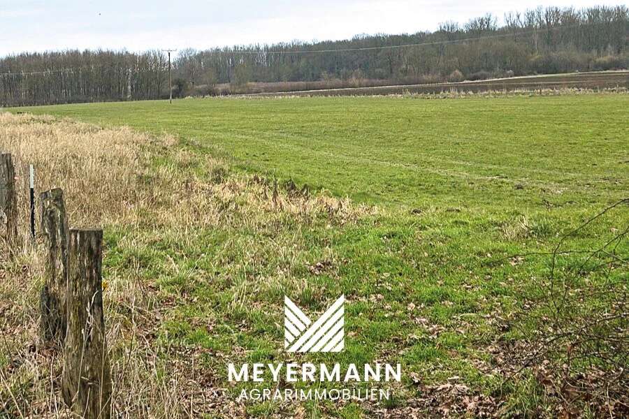 ca. 2 ha Grünland in Niederbauer zu verkaufen