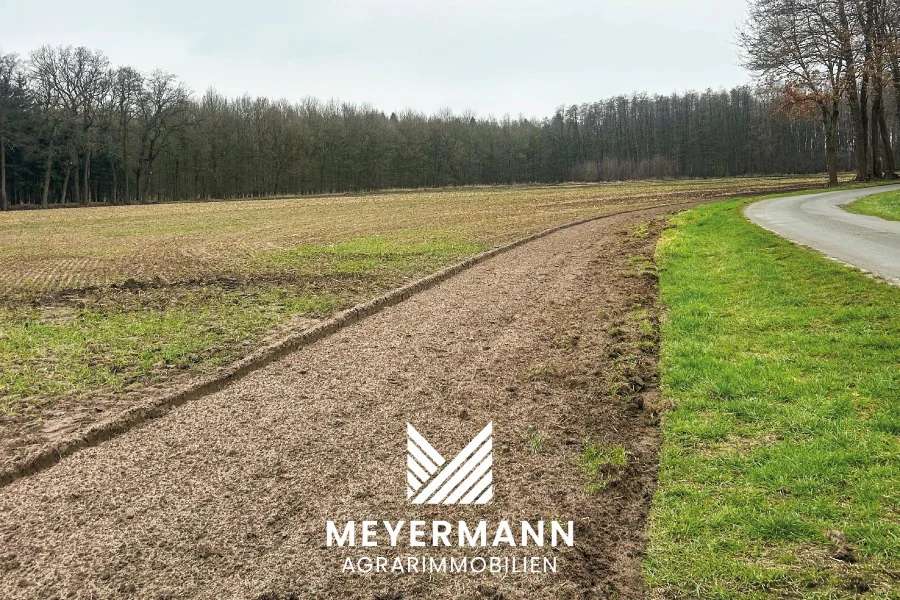 ca. 4,2 ha Ackerland in Wenstrup zu verkaufen