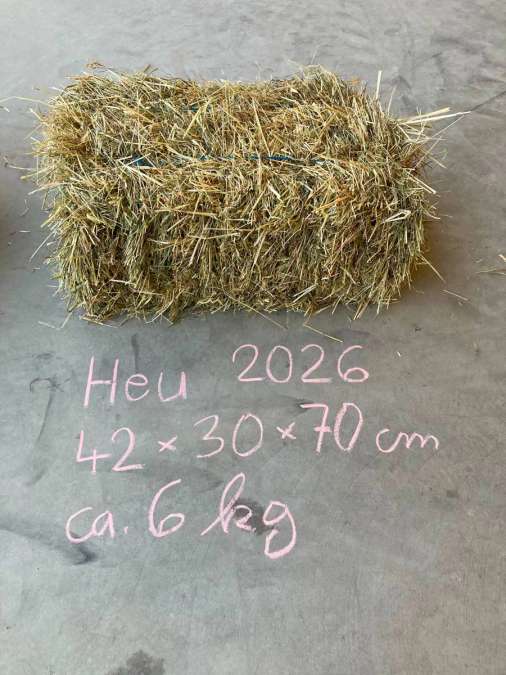 Heuballen gepresst - Bild 1