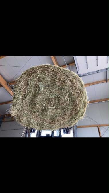 Rundballen Heu