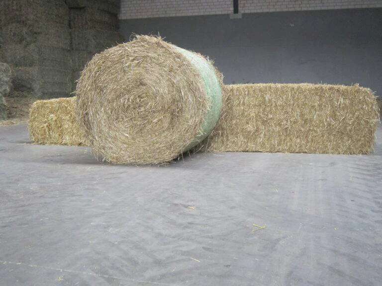 Hochqualitatives Weizen- oder Gerstenstroh für Futter/Einstreu in Quaderballen - Bild 1