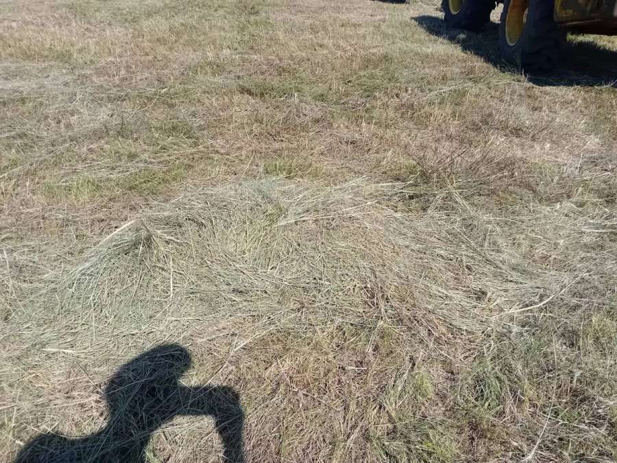 Heuballen 1 Schnitt - Bild 3