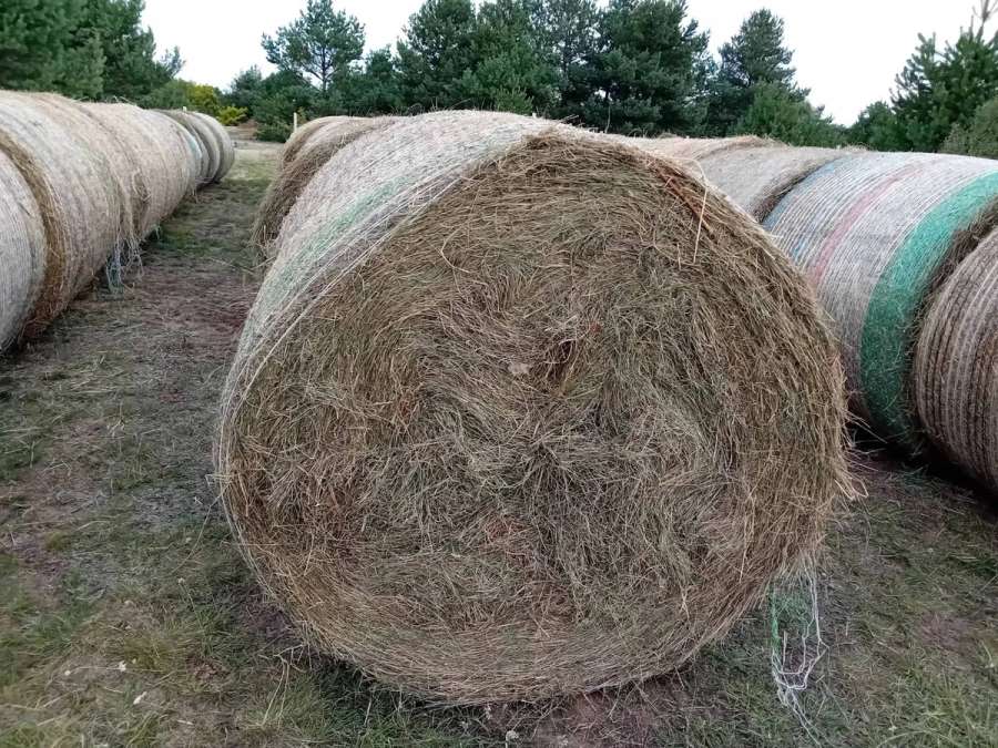 Heuballen 1 Schnitt - Bild 4