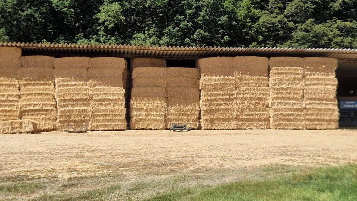 Stroh Großpacken Quaderballen - Bild 1