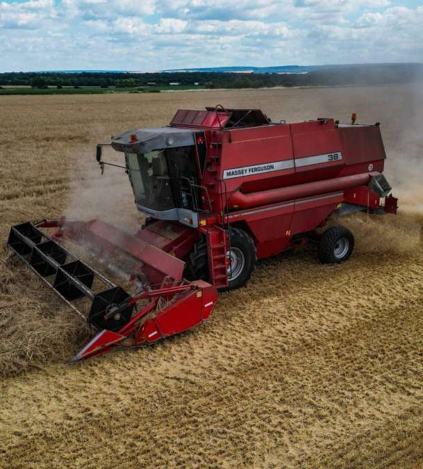 Massey Ferguson 38 - Bild 5