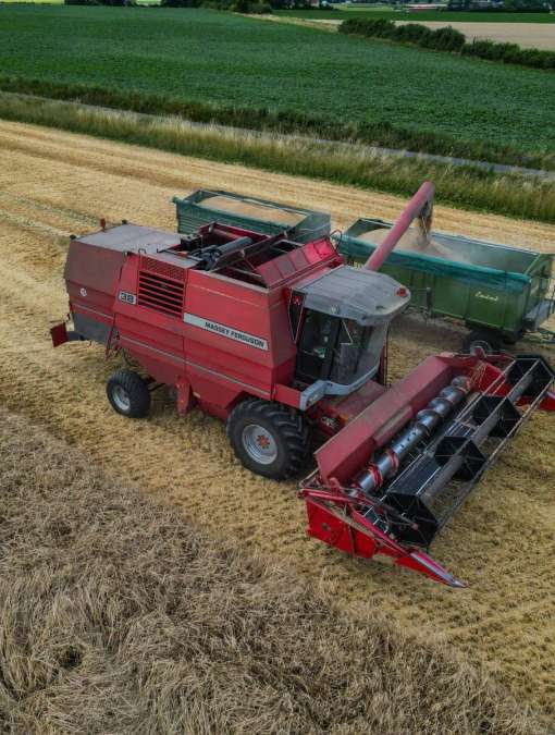 Massey Ferguson 38 - Bild 6