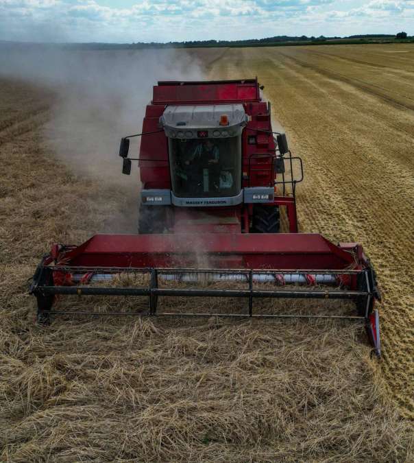 Massey Ferguson 38 - Bild 7
