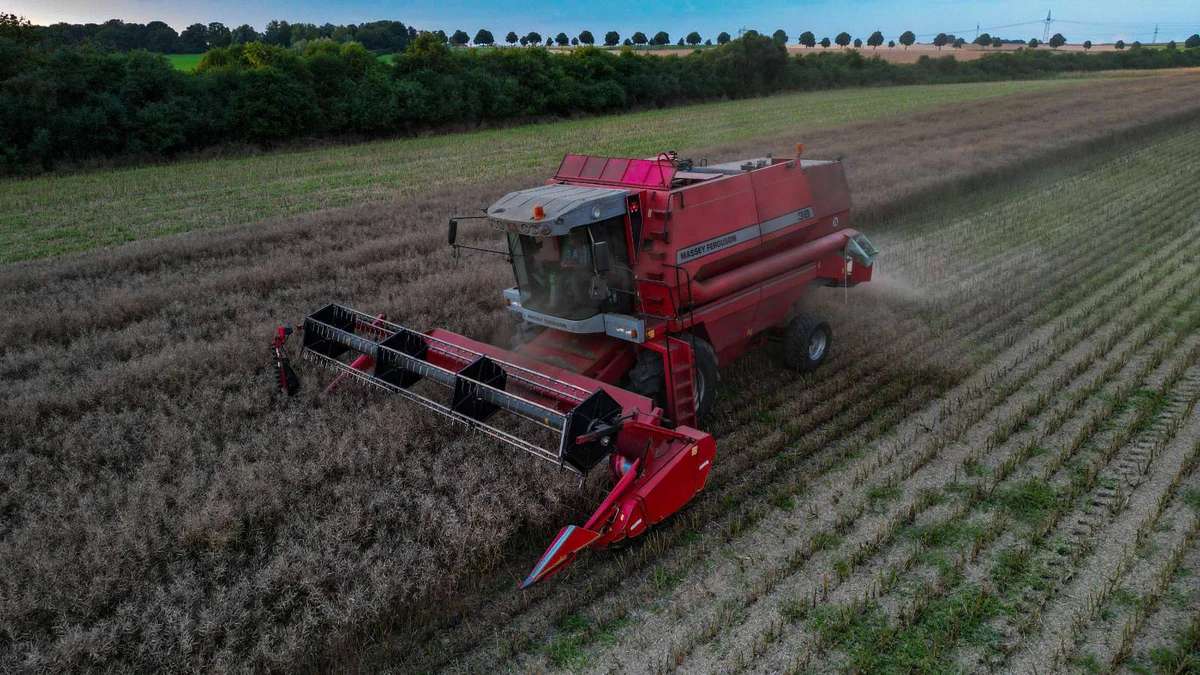 Massey Ferguson 38 - Bild 8