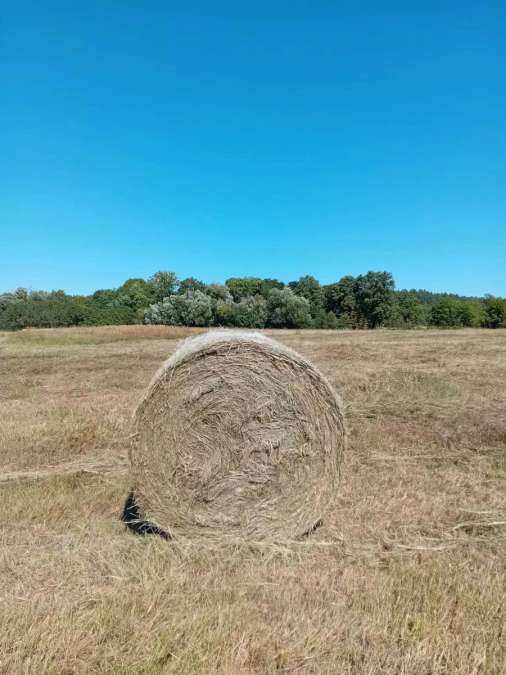 Heuballen Pferdeheu - Bild 1