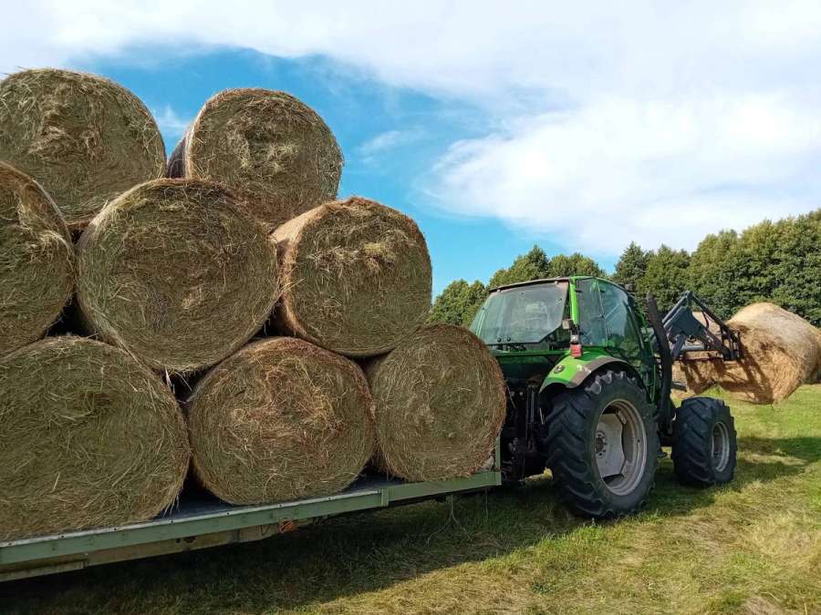 Heuballen Pferdeheu - Bild 3