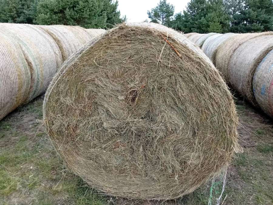Heuballen Pferdeheu - Bild 4