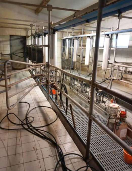 DeLaval Melkstand in Doppel 4 Fischgrät-Bauweise - Bild 1