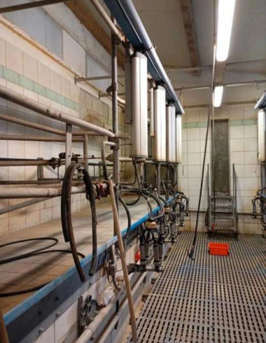 DeLaval Melkstand in Doppel 4 Fischgrät-Bauweise - Bild 2