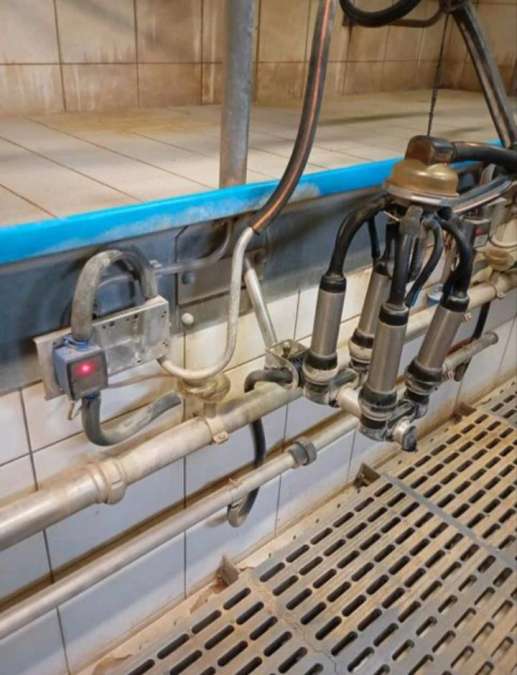 DeLaval Melkstand in Doppel 4 Fischgrät-Bauweise - Bild 5
