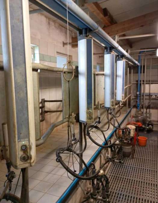 DeLaval Melkstand in Doppel 4 Fischgrät-Bauweise - Bild 6