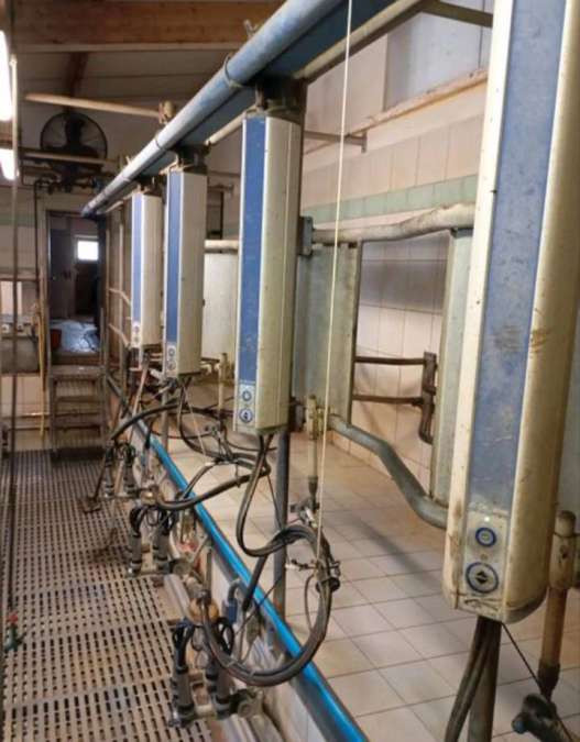 DeLaval Melkstand in Doppel 4 Fischgrät-Bauweise - Bild 7