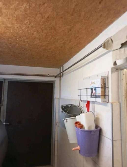 DeLaval Melkstand in Doppel 4 Fischgrät-Bauweise - Bild 10