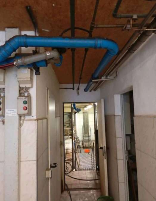 DeLaval Melkstand in Doppel 4 Fischgrät-Bauweise - Bild 13