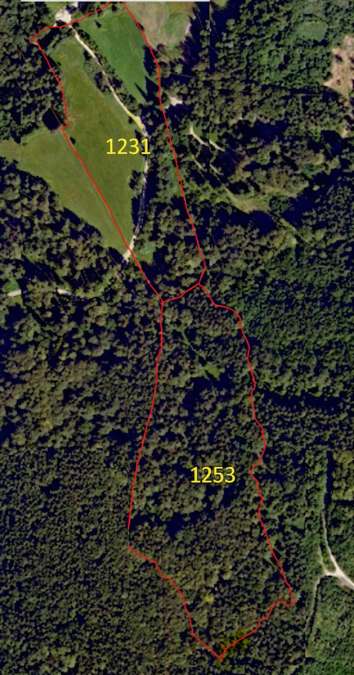 Verkauf: 8,2 ha arrondierte Wald- und Wiesenflächen in Waakirchen