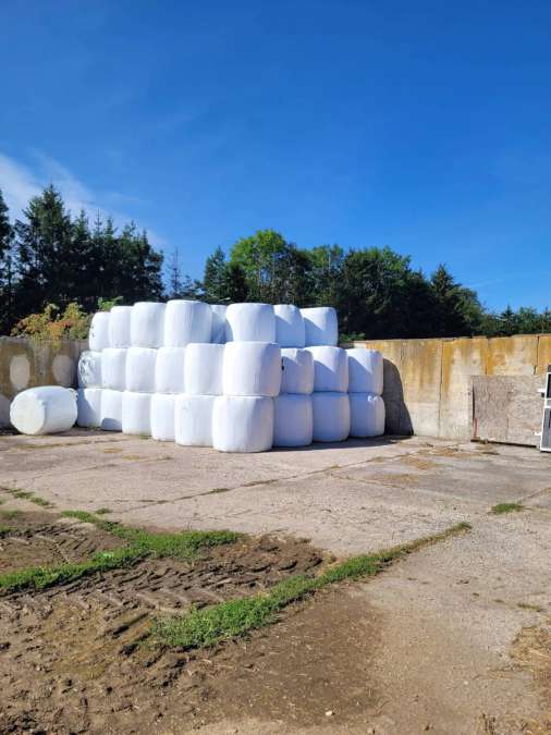 Silo Rundballen zu Verkaufen - Bild 1