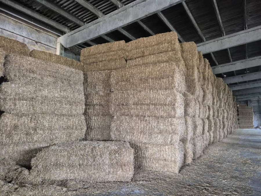 Weizen Stroh HD-Ballen 505kg/stück Großpacken Quaderballen geschnittenes - Bild 1