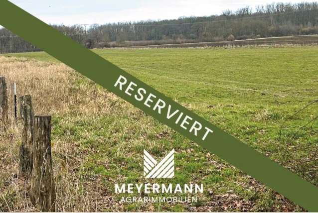 ca. 2 ha Grünland in Niederbauer zu verkaufen-RESERVIERT