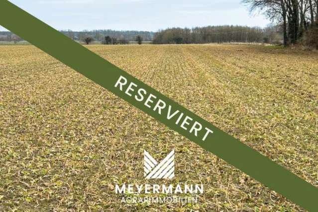 ca. 6 ha Ackerland in Lippetal zu verkaufen-RESERVIERT - Bild 1