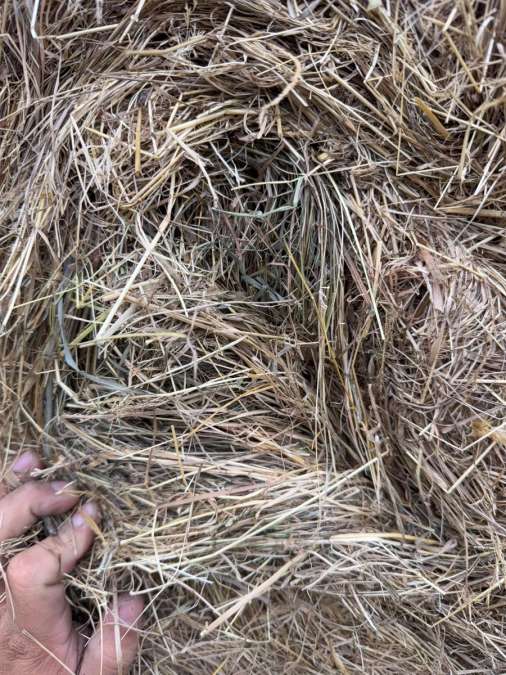 Heu Rundballen 1,50m 1.Schnitt - Bild 1