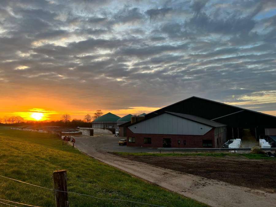 Vollzeit-Mitarbeiter (m/w/d) – Ackerbau, Puten und Milchvieh in 47533 Kleve - Bild 1