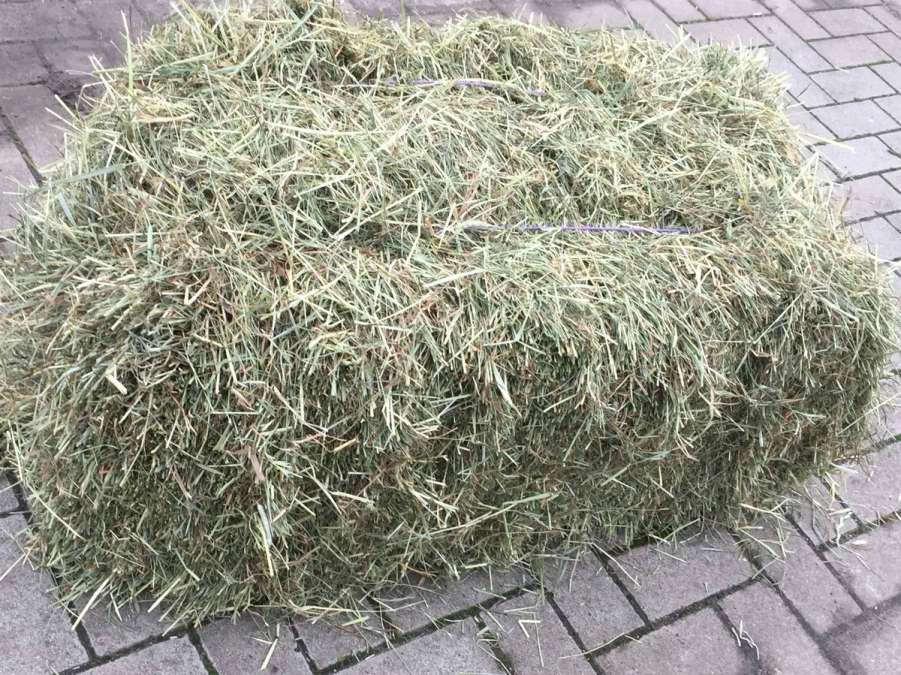 Heu in HD-Ballen + Rundballen Heulage in guter Qualität