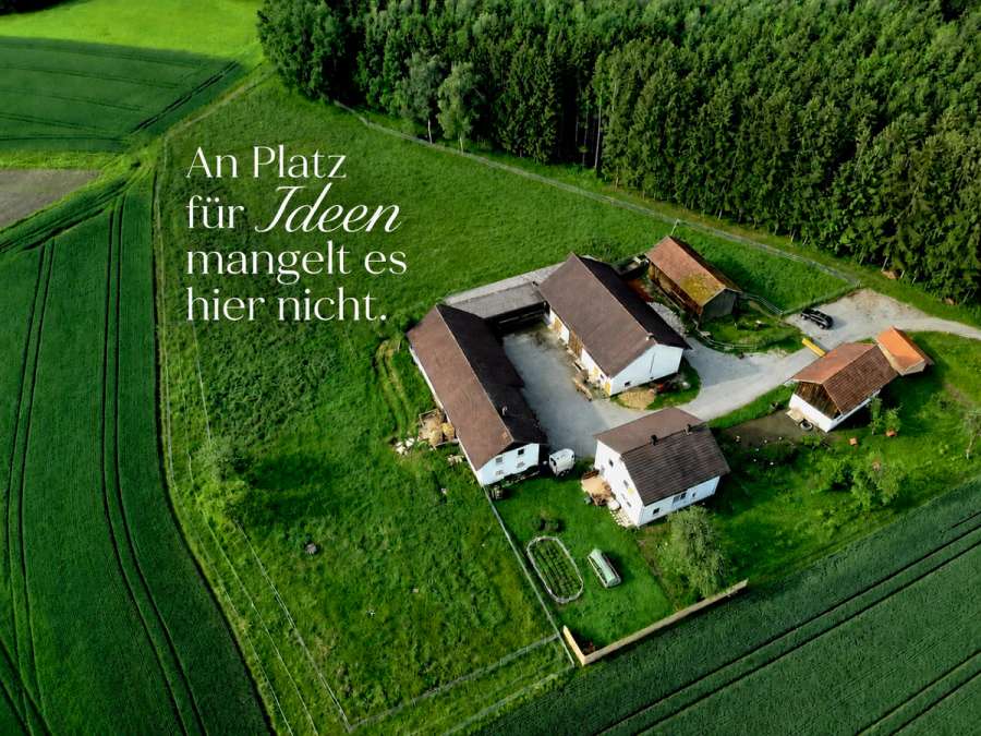 Sacherl/Bauernhof in absoluter Alleinlage am Waldrand - Bild 1