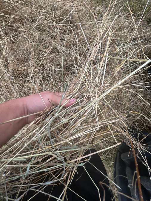 Heuballen 1.30m 1. Schnitt öko und UstW - Bild 1