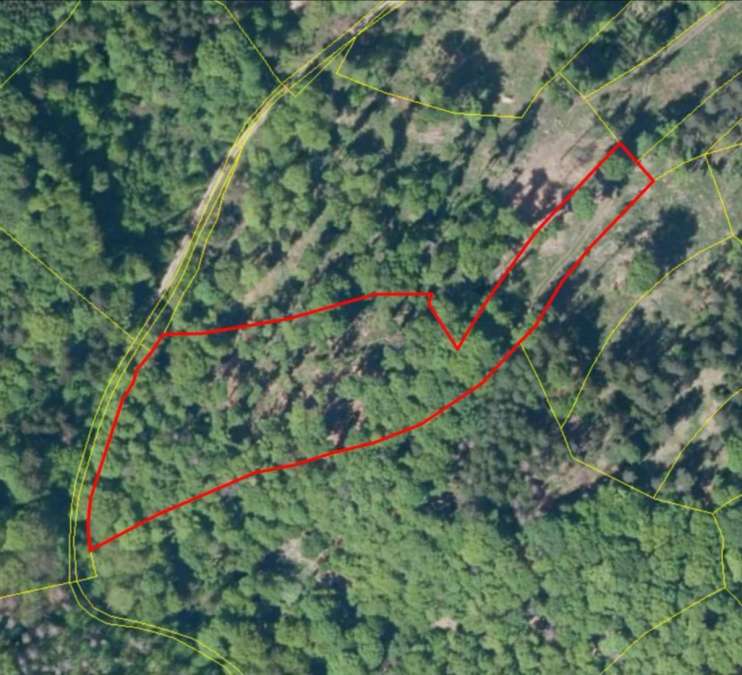 Waldgrundstück im idyllischen Werntal – 9.160 m² Mischwald - Bild 1