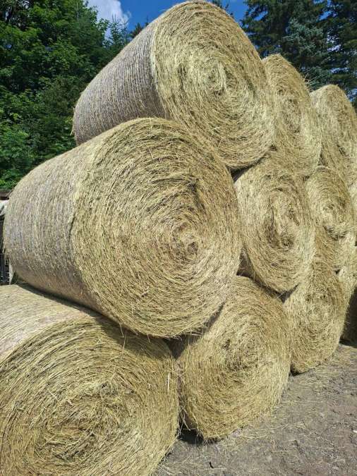 BIO Heu Rundballen 1,30m  2. Schnitt Bergwiesenheu - Bild 1