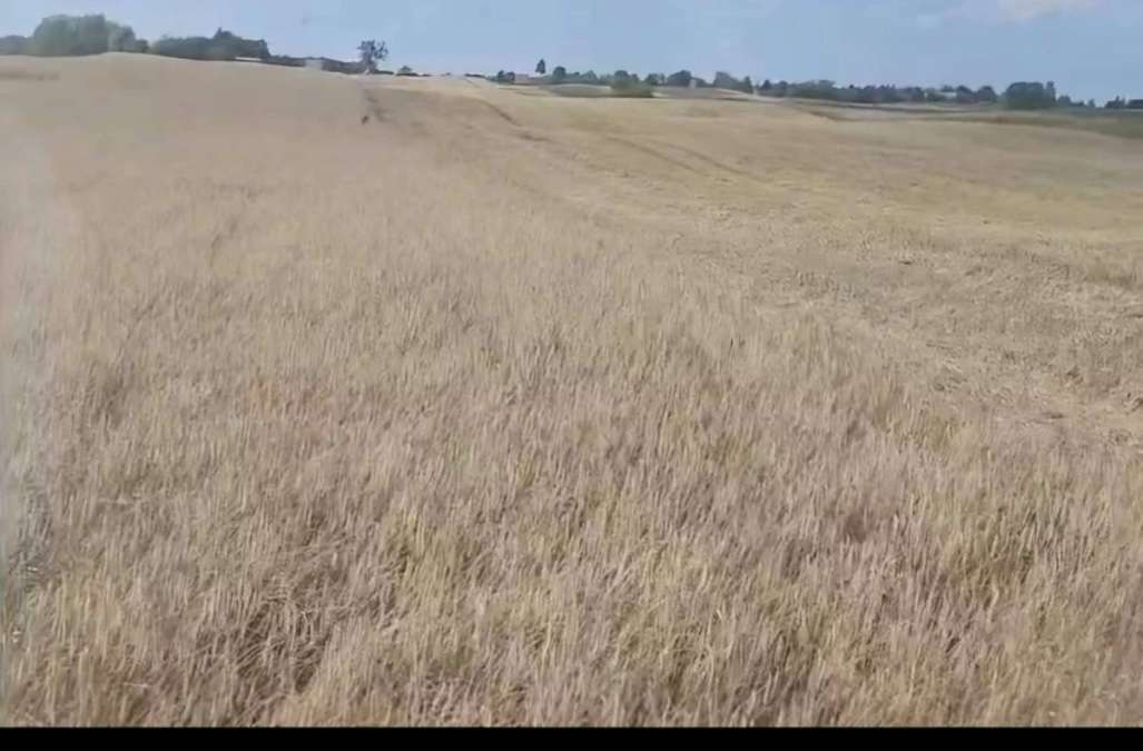10 ha Acker Brandenburg - Bild 1
