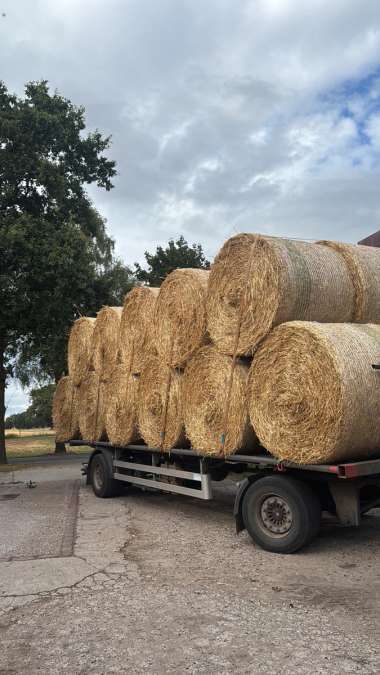 Weizenstroh in Rundballen - Bild 1