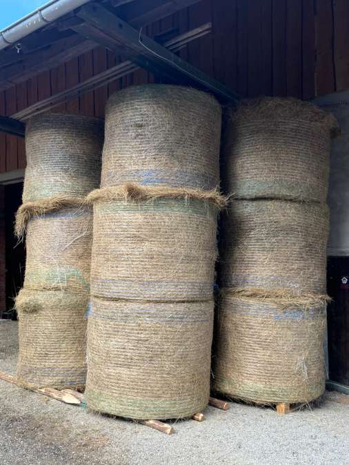 Heuballen, Rundballen mit 1,40 Durchmesser - Bild 1