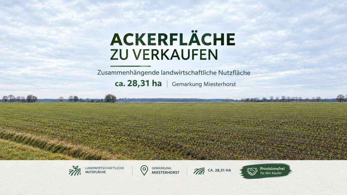 28,3 ha landwirtschaftliche Nutzfläche / Acker 39646 Miesterhorst - Bild 1