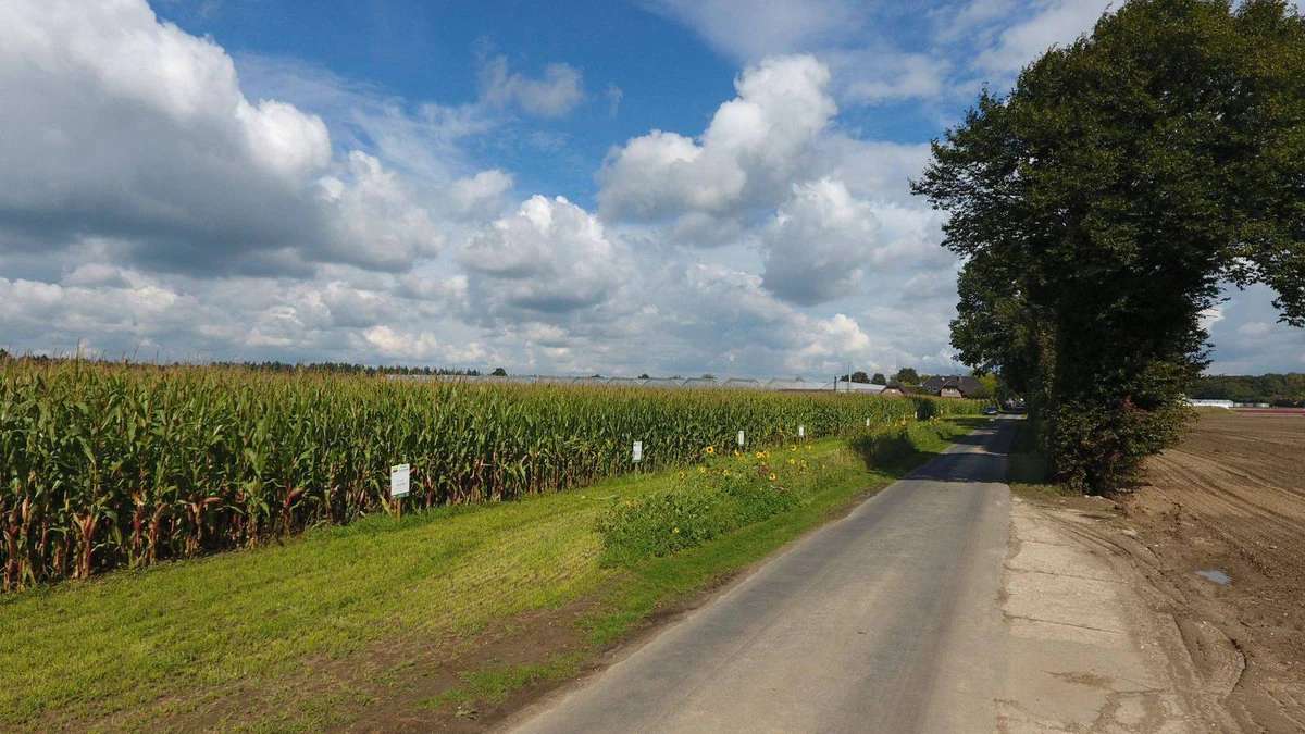 Vertriebsleitung Agrar / Leitung Ein- und Verkauf, Pflanzenbau, Krefeld - Bild 1