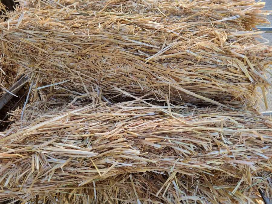 Stroh, Weizen, 2026 - Bild 1